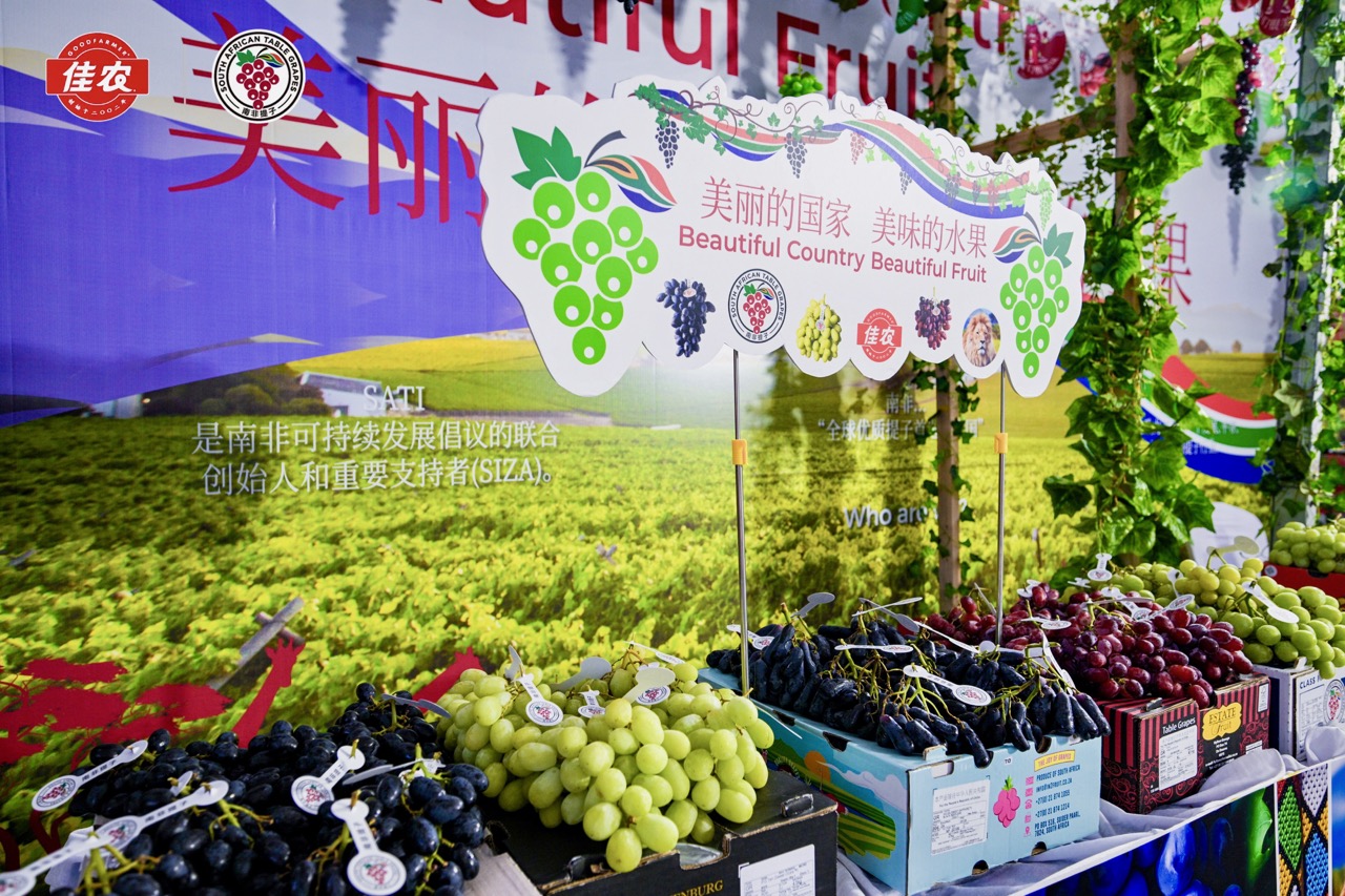South African Table Grape Industry Celebrates Successful 2022/23 China